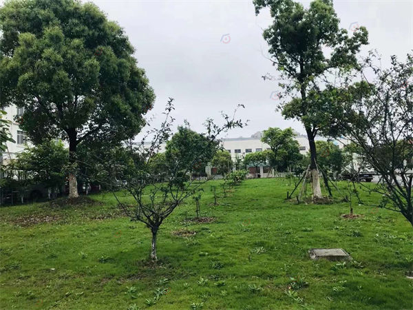 上海市奉贤区28000平多层厂房出租出售